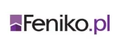 Feniko – Szybka pożyczka online
